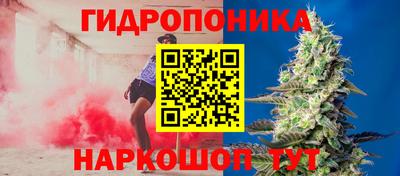 дурь Аша