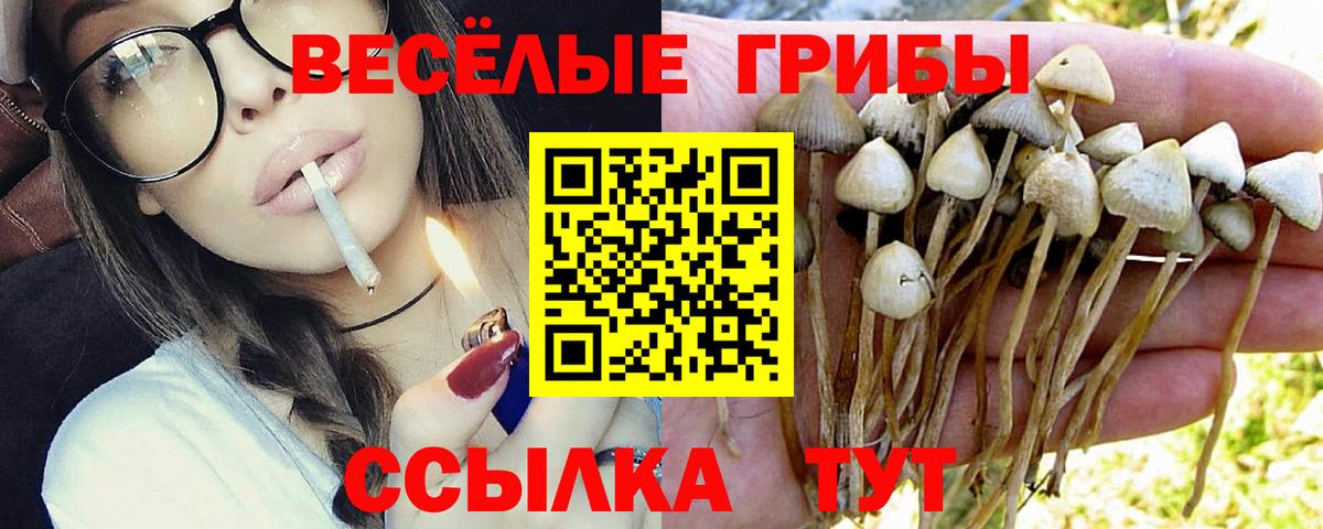 хочу наркоту  Вход с VPN  Димитровград  Галлюциногенные грибы Magic Shrooms 