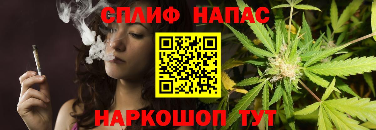 Каннабис Amnesia Димитровград